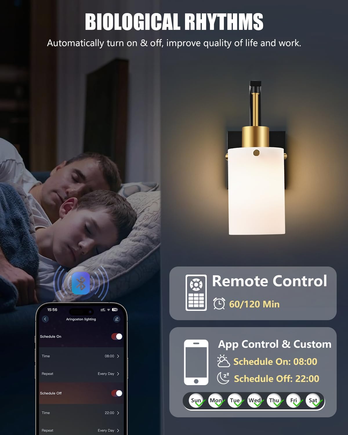 Black & Gold Wall Sconces Set of 2, Remote