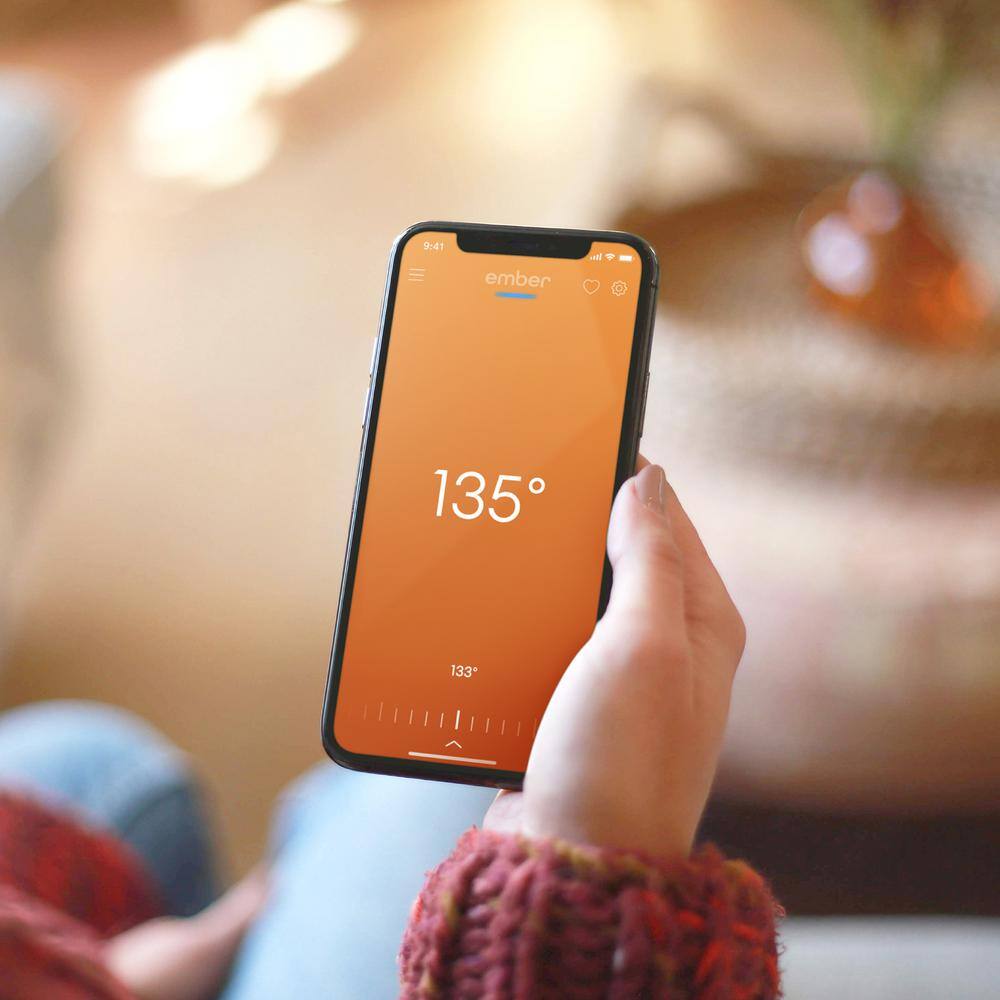 Plastic Temperature Control Smart Mug 2,10 oz. Stainless Steel